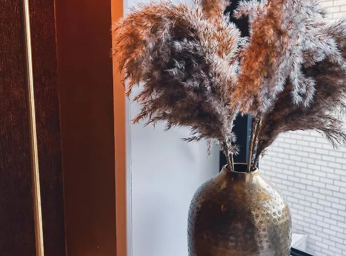 Bella's Place Бреда